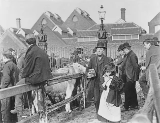 Marché aux bestiaux du village britannique, victorien, 19ème siècle