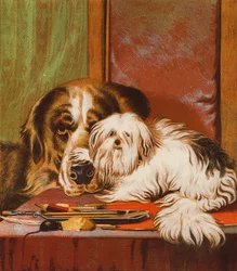 Bruno et Carlo