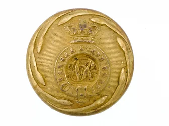 Bouton, Corps d