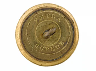 Bouton, Corps d