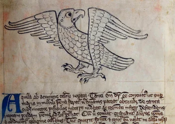 CCA-LitMs/D/10 fol. 13r Aigle, du Bestiaire