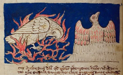 CCA-LitMs/D/10 fol. 17v Phénix, du Bestiaire
