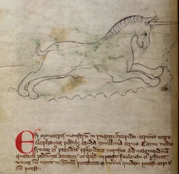 CCA-LitMs/D/10 fol. 2v Monocéros, du Bestiaire