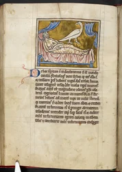 Oiseau Caladrius - Bestiaire, Royal MS 12 C XIX, f.47v
