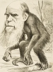 Caricature de Charles Darwin