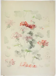 Design de tapis