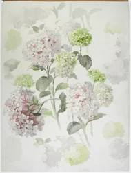 Design de tapis