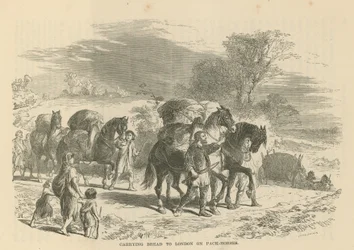 Transport du pain à Londres sur des chevaux de bât