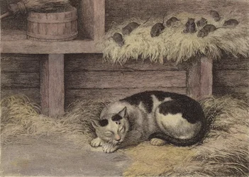 Chat et souris dans une grange