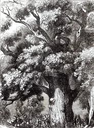 Charles II (1630-85) caché dans le chêne, 14 octobre 1651