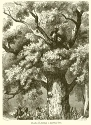 Charles II caché dans le chêne