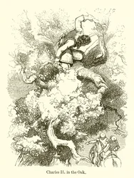 Charles II dans le chêne