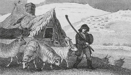 Bergers de Cheviot