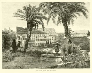 Colisée, depuis le Palatin