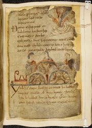 Cotton Vitellius A. XV, fol. 105, une vigne d