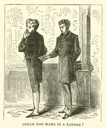 Pourriez-vous en faire un tanner?