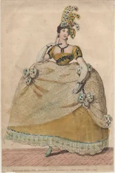 Robe de cour
