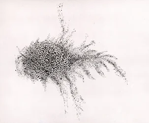 Nébuleuse du Crabe" par William Parsons, tiré de "Observations on some of the Nebulae" (Observations sur certaines nébuleuses) des "Philosophical Transactions of the Royal Society" (Transactions philosophiques de la Société royale)