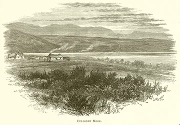 Moor de Culloden