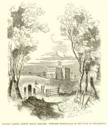 Château de Dangan, Comté de Meath, Irlande. Supposé lieu de naissance du duc de Wellington