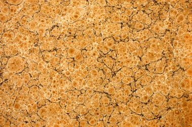 Papier de garde décoratif