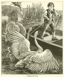 Défendant leurs Jeunes