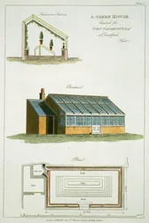 Conception pour une serre, exécutée pour Thomas Caldecott à Dartford, Kent, 1806