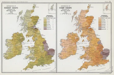 Répartition des cultures vertes, répartition des cultures céréalières