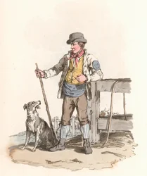 Bouvier