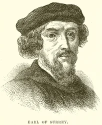 Comte de Surrey