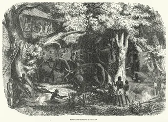 Chasse à l