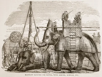 Éléphant équipé pour la bataille, avec armure, howdah, etc., illustration de Cassell