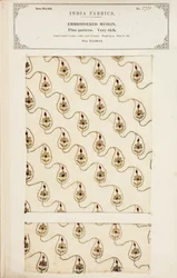 Échantillon de mousseline brodée de Madras, de The Collection of the Textile Manufacturers of India, par John Forbes Watson, publié en 1866