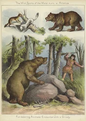 Rencontre avec un grizzly