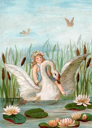 Fée chevauchant un cygne blanc parmi les quenouilles et les nénuphars