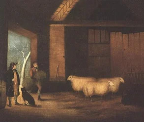 Nourrir les moutons