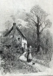 Premières fleurs, de 