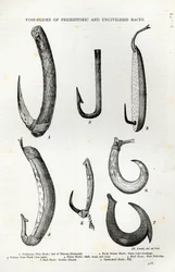 Hameçons des races préhistoriques et non civilisées, de 