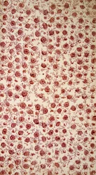 Page de garde florale