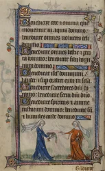 Illustration des 
