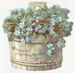 Myosotis dans un pot, Carte de Nouvel An