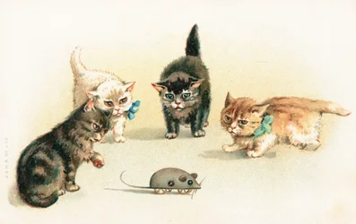 Quatre chatons jouant avec une souris mécanique