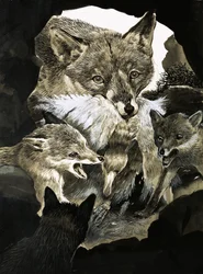 Renard apportant de la nourriture à ses petits