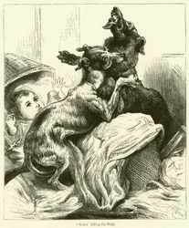 Gelert