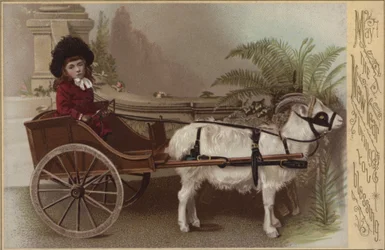 Fille dans une charrette à chèvres, carte de vœux du Nouvel An