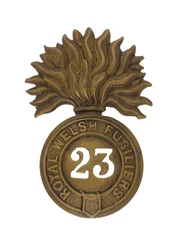 Insigne de Glengarry, vers 1874-81