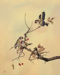 Chardonnerets, vers 1890