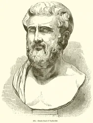 Buste grec de Sophocle