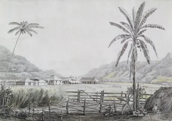 Halse Hall, Jamaïque, vers 1780