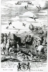 Herne chassant au faucon, de 
